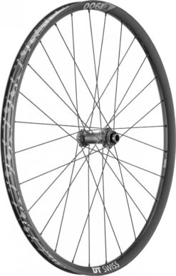 Dt-swiss DT Swiss E1900 Spline 30 29 '' Front Wheel | 15x100mm | Centerlock
